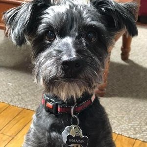 Meet your Posher, Patrick